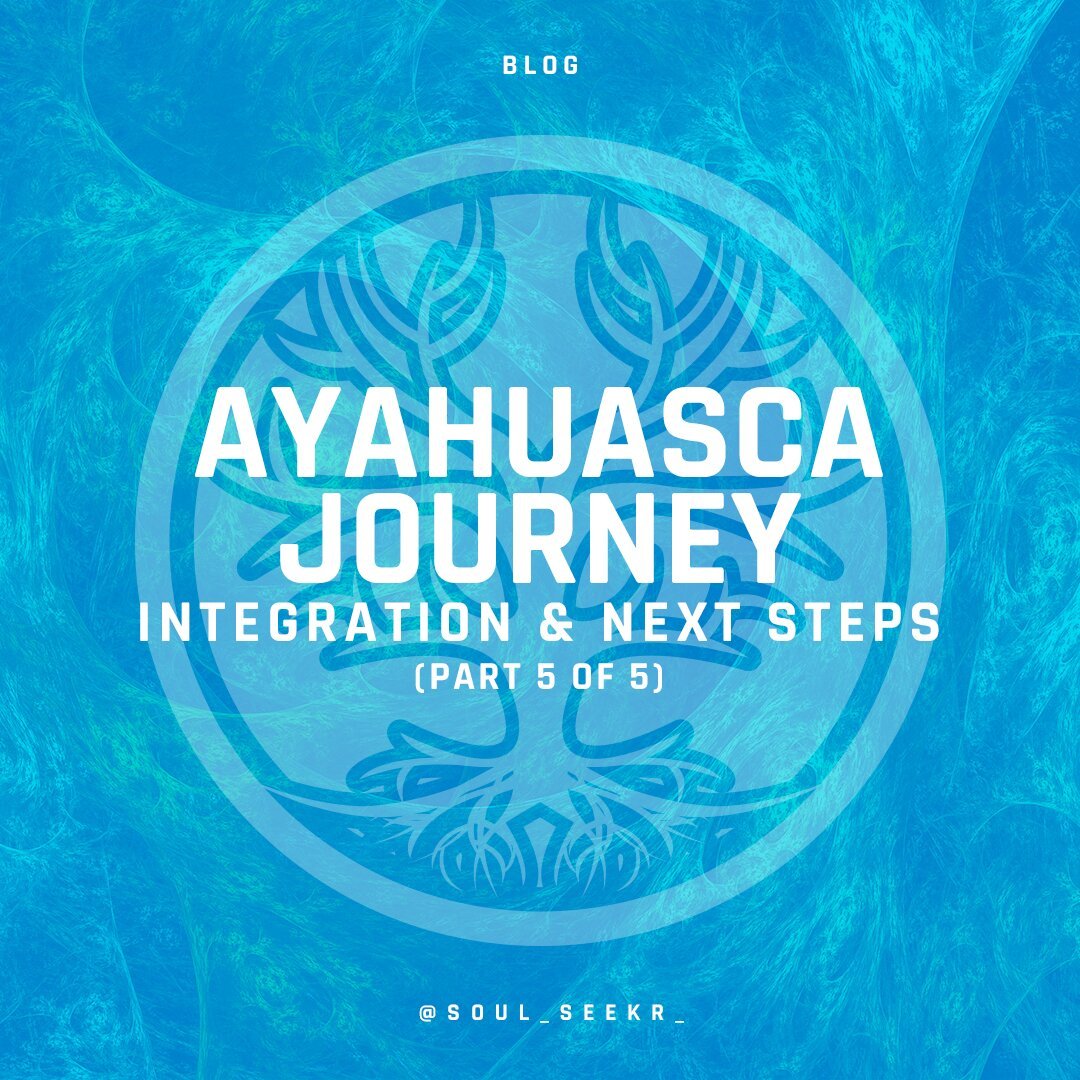 Ayahuasca Journey: Integration & Next Steps (Part 5 of 5)